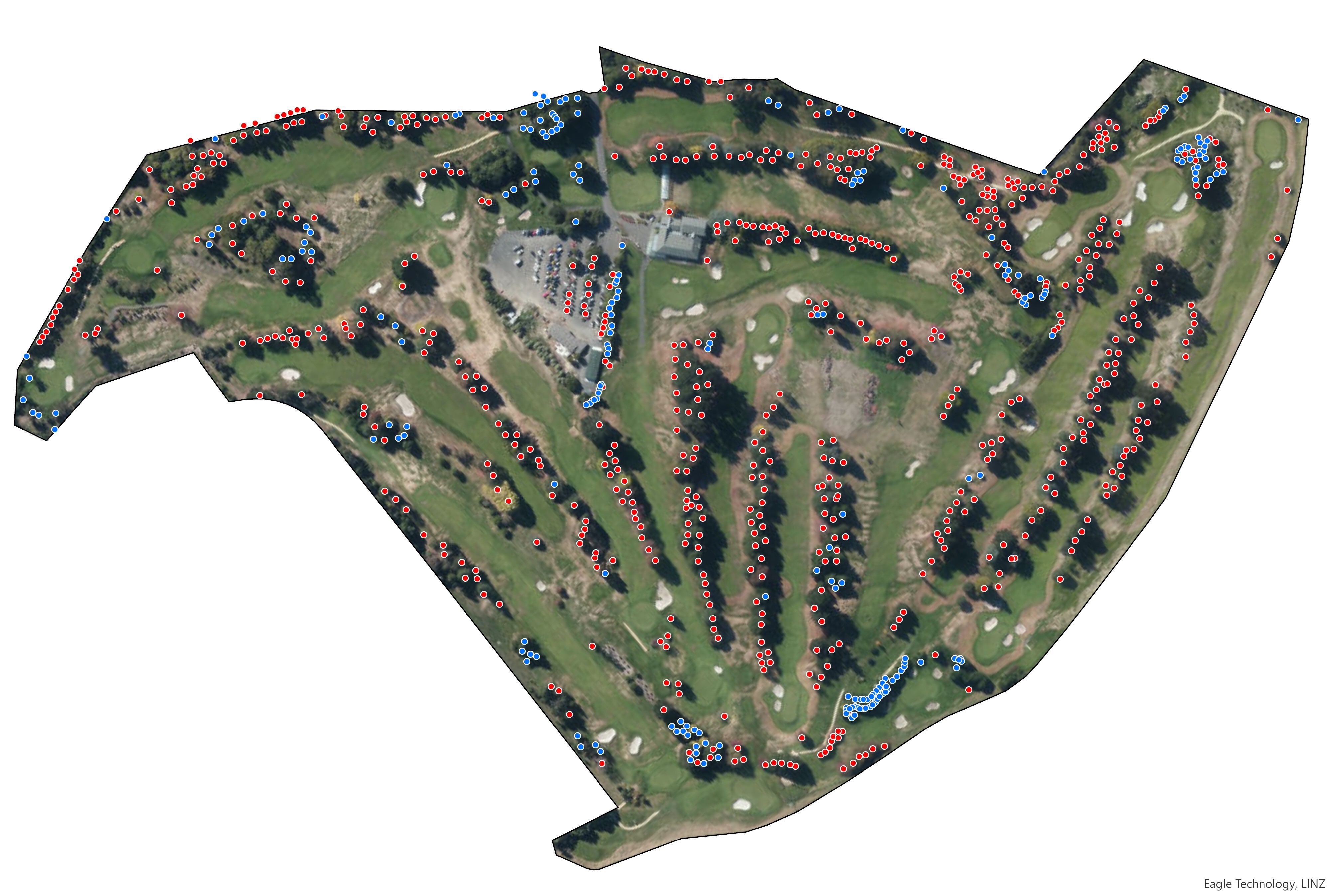 NativesandExotics Imagery